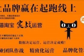 淘宝团队是什么意思，淘宝团队长