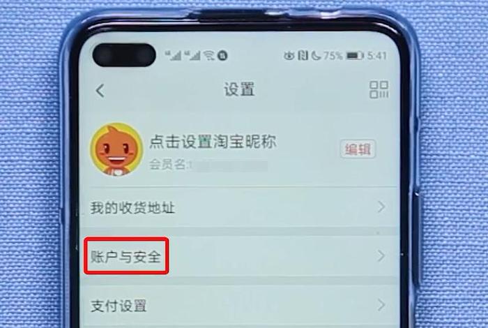 淘宝店铺登录支付宝，淘宝店铺登录支付宝怎么弄