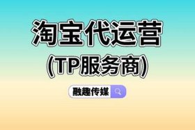 淘宝官方运营服务商是干嘛的、淘宝运营官网