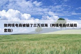 做跨境电商被骗了可以报警吗；跨境被骗 如何报警