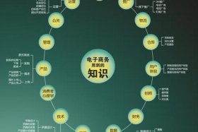 电商新手入门知识；电商新手入门知识讲解