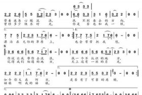 我想做你的新郎歌词 - 我想做你的新郎歌词mc梦柯