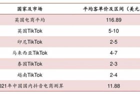 亚马逊跨境电商入驻多少钱（亚马逊跨境电商投资1000元14天回本1200）