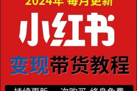 16岁怎么做电商找人带货赚钱、16岁怎么创业挣钱