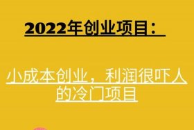 利润很吓人10个冷门创业项目加盟 冷门利润高