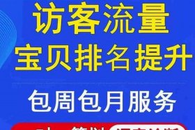 淘宝刷访客网站挣钱吗 - 淘宝刷访客网站挣钱吗是真的吗