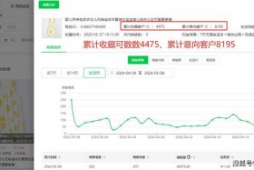 电商运营一个月能赚多少钱，电商运营月薪
