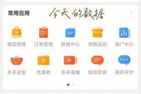 拼多多店铺出售交易平台查询（拼多多店铺出售交易平台查询记录）