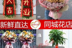 大麦广州分公司、广州大麦公司怎么样