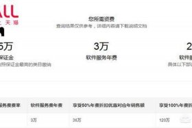 天猫入驻企业注册资金要多少（开天猫店公司注册资金要多少）