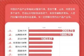 中国十大电商公司排行榜，当前中国十大电商企业