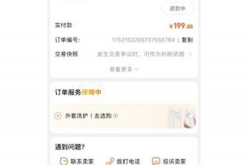 天猫商家入驻成功之后、天猫入驻提交后不能查看吗