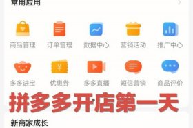 拼多多开店用手机号注册的吗（拼多多开店需要手机号）