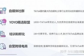 海外短视频跨境电商平台骗局揭秘、海外短视频赚钱