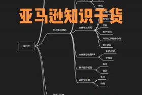 中国亚马逊跨境电商做得如何 亚马逊跨境电商行业是做什么的