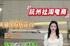 女孩子做电商（女孩子做电商运营好吗）