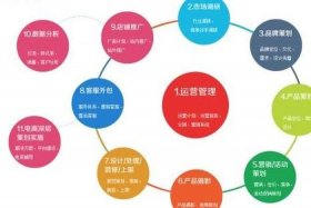 阿里淘宝电商运营、淘宝阿里网络运营是干什么的