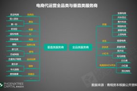 专业电商代运营商是什么，电商代运营模式