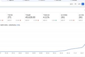 淘宝店铺访客暴增、淘宝访客突然暴涨
