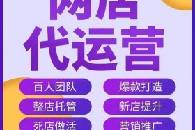 淘宝电商代运营是做什么的 淘宝电商代运营什么意思