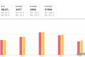 2024淘宝销售数据、淘宝2020年销售数据