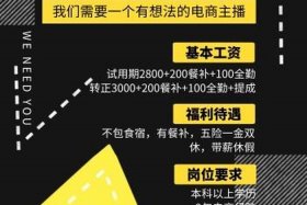 淘宝电商运营招聘（淘宝电子商务运营营销招聘）