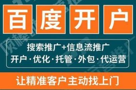 百度代运营图片 - 百度百科代运营