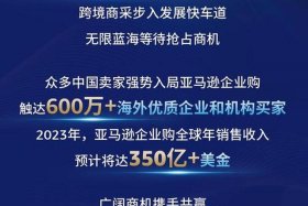 做亚马逊一年赚了60万 做亚马逊一年的收入