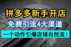 拼多多店铺运营推广技巧（拼多多开店运营推广）