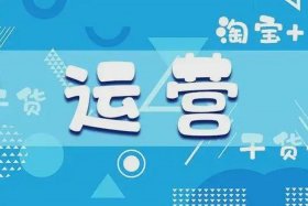 淘宝店运营商；淘宝运营店铺