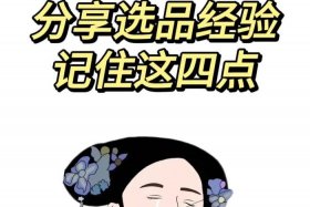 一个人开几十家网店是怎么运作的（开网店一个人搞得过来不）