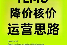 特姆跨境电商入驻流程、特姆跨境电商入驻流程及费用