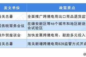 跨境电商平台免费扶持人 - 2020年扶持跨境电商新政策
