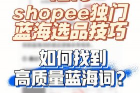 篮海电商怎么做 电商蓝海词软件