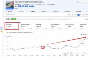 淘宝每天访客100个怎么提升等级，淘宝每日访客多少正常