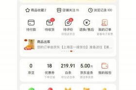 怎么在京东上开自己的店铺需要多少钱（开京东店铺怎么开）