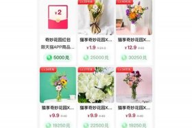 开天猫店要花多少钱；开天猫店要花多少钱才能开