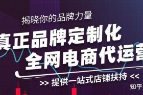 品牌代运营公司能上市吗 品牌代运营公司能上市吗知乎