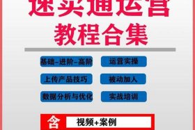 电商新手入门教程零基础，电商新手入门视频教程免费版