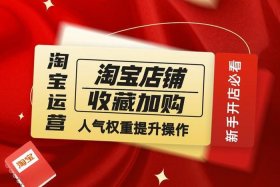 淘宝运营视频教程免费下载，淘宝运营视频百度云