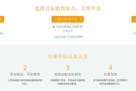 亚马逊跨境电商开店条件，亚马逊跨境电商入驻条件