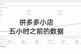 拼多多如何开个人店铺赚钱、拼多多开个人店铺赚钱吗