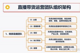 直播代运营公司团队 - 直播代运营方案
