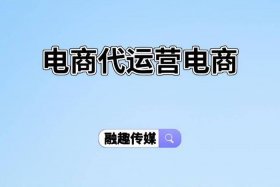 海外电商平台代运营，海外电商平台代运营公司