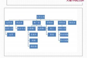 电商运营团队结构图 - 电商的运营团队一般做些什么