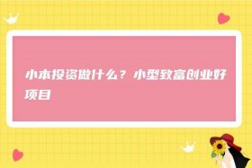 创业小项目微小型创业项目，创业小项目微小型创业项目有哪些