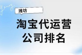 正规的淘宝代运营公司有哪些（正规的淘宝代运营公司有哪些品牌）