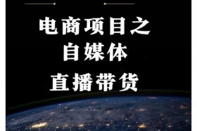 电商创业项目简介 - 大学生创业电商项目简介