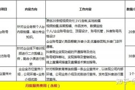 代运营店铺分析，店铺代运营公司排名