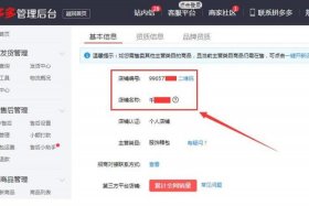 怎么开拼多多网店不用保证金（怎么样才能在拼多多上开个网店,不需要投资）